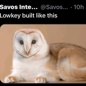 Meet your Posher, Eden